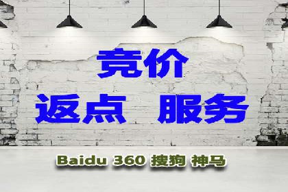 SEM托管公司案例：优化与增长